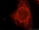 CDGSH Iron Sulfur Domain 1 antibody, 16006-1-AP, Proteintech Group, Immunofluorescence image 