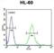 SOS Ras/Rho Guanine Nucleotide Exchange Factor 2 antibody, abx026426, Abbexa, Flow Cytometry image 