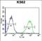Serine Peptidase Inhibitor, Kazal Type 8 (Putative) antibody, PA5-48404, Invitrogen Antibodies, Flow Cytometry image 