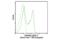 CD45 antibody, 94233S, Cell Signaling Technology, Flow Cytometry image 