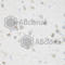 NFU1 iron-sulfur cluster scaffold homolog, mitochondrial antibody, A7097, ABclonal Technology, Immunohistochemistry paraffin image 