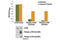 Mechanistic Target Of Rapamycin Kinase antibody, 7978S, Cell Signaling Technology, Enzyme Linked Immunosorbent Assay image 