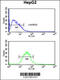 Pre-MRNA Processing Factor 38A antibody, 64-191, ProSci, Immunofluorescence image 