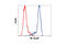 p65 antibody, 8242S, Cell Signaling Technology, Flow Cytometry image 