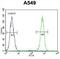 Anaphase-promoting complex subunit 5 antibody, abx026017, Abbexa, Flow Cytometry image 