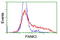 Pantothenate Kinase 3 antibody, LS-C172462, Lifespan Biosciences, Flow Cytometry image 