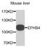 Ring Finger Protein 112 antibody, MBS128738, MyBioSource, Western Blot image 