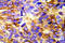 EGFR antibody, AP20884PU-N, Origene, Immunohistochemistry frozen image 