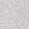 ETS Homologous Factor antibody, HPA060734, Atlas Antibodies, Immunohistochemistry frozen image 