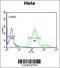 Ras-related protein Rab-8A antibody, 63-721, ProSci, Immunofluorescence image 