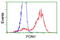 PON antibody, TA502612, Origene, Flow Cytometry image 