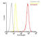 Heat shock protein HSP 90-beta antibody, ADI-SPA-844PE-200, Enzo Life Sciences, Flow Cytometry image 