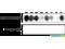 Serine/Threonine Kinase 24 antibody, SPC-1032D-A390, StressMarq, Dot Blot image 