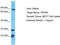 Phosphatidylinositol 3-kinase regulatory subunit gamma antibody, TA330913, Origene, Western Blot image 