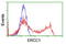 DNA excision repair protein ERCC-1 antibody, LS-C173800, Lifespan Biosciences, Flow Cytometry image 