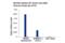 Cohesin subunit SA-2 antibody, 5882S, Cell Signaling Technology, Chromatin Immunoprecipitation image 