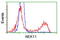 NIMA Related Kinase 11 antibody, LS-C115551, Lifespan Biosciences, Flow Cytometry image 