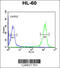 PAT1 Homolog 1, Processing Body MRNA Decay Factor antibody, 64-121, ProSci, Flow Cytometry image 