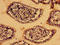 Lysosomal acid lipase/cholesteryl ester hydrolase antibody, LS-C285553, Lifespan Biosciences, Immunohistochemistry paraffin image 