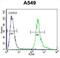Leucine Rich Repeat Containing 6 antibody, abx026421, Abbexa, Flow Cytometry image 