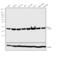 BCL2 Like 1 antibody, MA5-15142, Invitrogen Antibodies, Western Blot image 