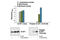 Eukaryotic Translation Initiation Factor 4E Binding Protein 1 antibody, 7179C, Cell Signaling Technology, Enzyme Linked Immunosorbent Assay image 