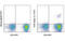 TCR V beta 13.1 antibody, MBS833398, MyBioSource, Flow Cytometry image 