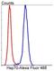 Heat Shock Protein Family A (Hsp70) Member 1A antibody, NBP2-67287, Novus Biologicals, Flow Cytometry image 