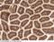 Cell surface A33 antigen antibody, 50559-RP02, Sino Biological, Immunohistochemistry frozen image 