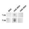4 Hydroxynonenal antibody, LS-C775510, Lifespan Biosciences, Dot Blot image 