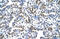 Mitochondrial Ribosomal Protein S15 antibody, 27-821, ProSci, Immunohistochemistry frozen image 