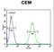 Zinc finger protein 667 antibody, LS-C160931, Lifespan Biosciences, Flow Cytometry image 