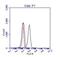 BCR Activator Of RhoGEF And GTPase antibody, A302-057A, Bethyl Labs, Flow Cytometry image 