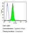 Calcium Voltage-Gated Channel Subunit Alpha1 S antibody, MA3-920, Invitrogen Antibodies, Flow Cytometry image 