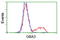 Glucosylceramidase Beta 3 (Gene/Pseudogene) antibody, TA502604, Origene, Flow Cytometry image 