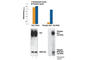 ALK Receptor Tyrosine Kinase antibody, 7322S, Cell Signaling Technology, Enzyme Linked Immunosorbent Assay image 