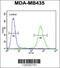 Exonuclease 5 antibody, 55-206, ProSci, Immunofluorescence image 