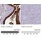 Extracellular Matrix Protein 1 antibody, NBP1-87449, Novus Biologicals, Immunohistochemistry paraffin image 