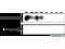 Serine/Threonine Kinase 24 antibody, SPC-1033D-A594, StressMarq, Dot Blot image 