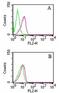 Rho GDP Dissociation Inhibitor Beta antibody, NB100-56556, Novus Biologicals, Flow Cytometry image 