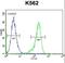 Ribosomal Protein S19 antibody, LS-C162736, Lifespan Biosciences, Flow Cytometry image 