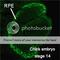 Melanocyte Inducing Transcription Factor antibody, 73-107, BioAcademia Inc, Immunohistochemistry paraffin image 