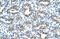 HMW Cytokeratin antibody, ARP42031_T100, Aviva Systems Biology, Immunohistochemistry frozen image 