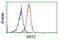 Diamine acetyltransferase 2 antibody, NBP2-01998, Novus Biologicals, Flow Cytometry image 