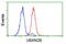 UBX Domain Protein 2B antibody, LS-C172822, Lifespan Biosciences, Flow Cytometry image 