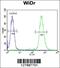 Ribosomal Protein S6 antibody, 55-118, ProSci, Flow Cytometry image 