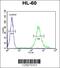 Methyltransferase Like 17 antibody, 64-217, ProSci, Flow Cytometry image 