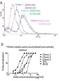 HIV-1 Env gp41 antibody, DDX1304A488, Novus Biologicals, Flow Cytometry image 