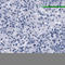Solute Carrier Organic Anion Transporter Family Member 1B3 antibody, AMAb91230, Atlas Antibodies, Immunohistochemistry frozen image 