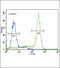 Mercaptopyruvate Sulfurtransferase antibody, 63-103, ProSci, Immunofluorescence image 